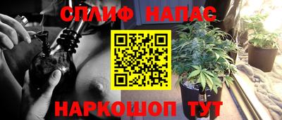 jwh Ярославль
