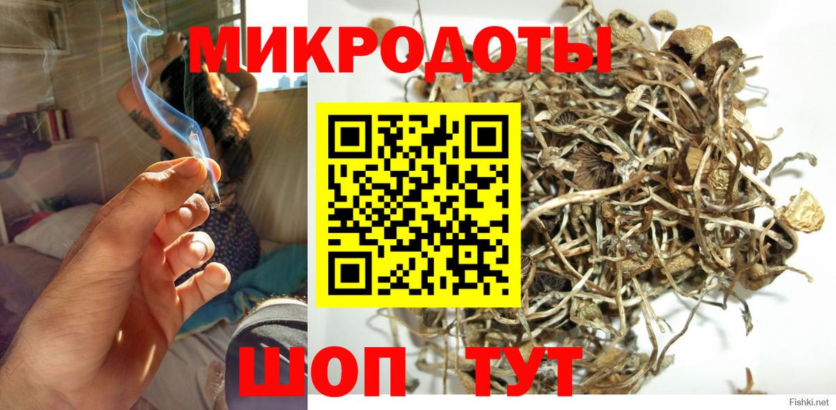 Галлюциногенные грибы Psilocybine cubensis  наркотики  Вход с VPN  Североуральск  Галлюциногенные грибы ЛСД 