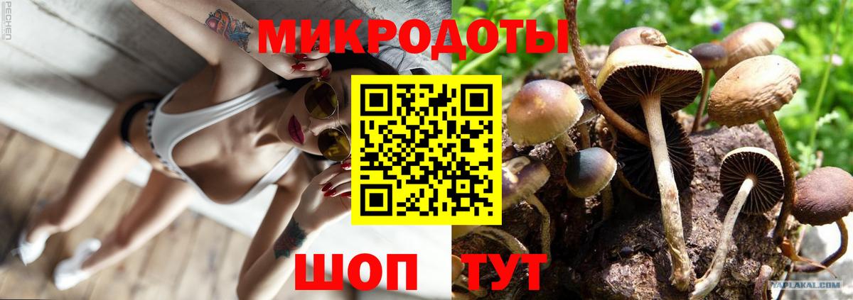 Галлюциногенные грибы Psilocybe  купить наркотики сайты  Североуральск 