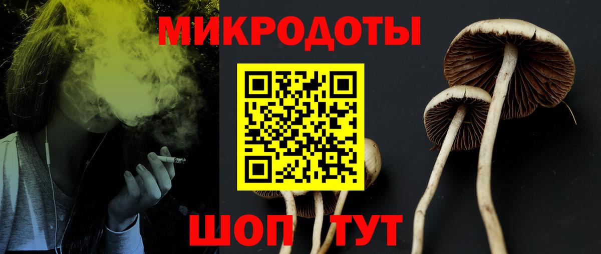 Псилоцибиновые грибы прущие грибы Североуральск